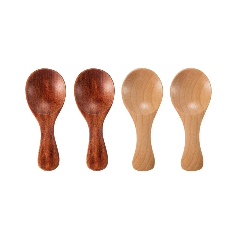 Mini Wooden Spice Spoons (4-Pack)