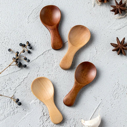 Mini Wooden Spice Spoons (4-Pack)