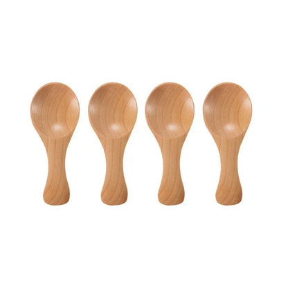 Mini Wooden Spice Spoons (4-Pack)