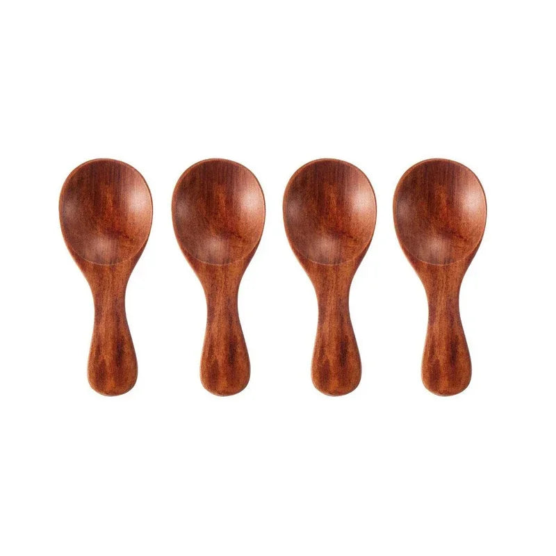 Mini Wooden Spice Spoons (4-Pack)