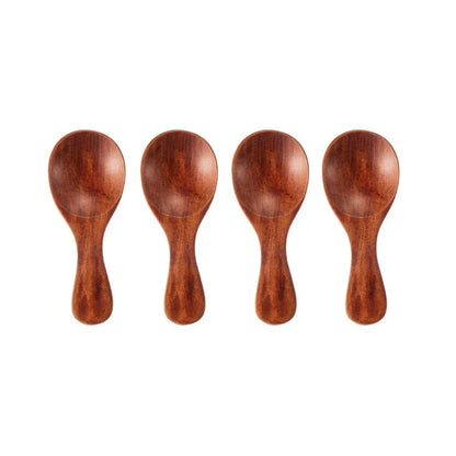 Mini Wooden Spice Spoons (4-Pack)