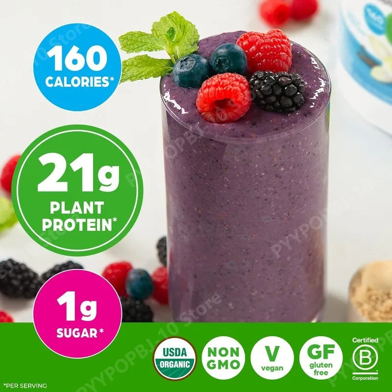 Organic Plant Based Protein Protein - Vanilla Bean