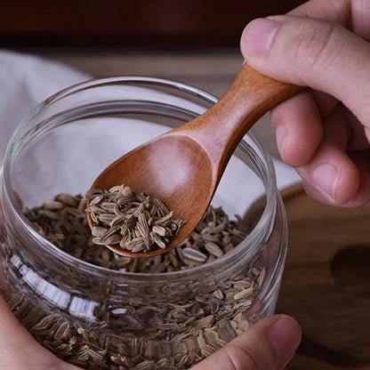 Mini Wooden Spice Spoons (4-Pack)
