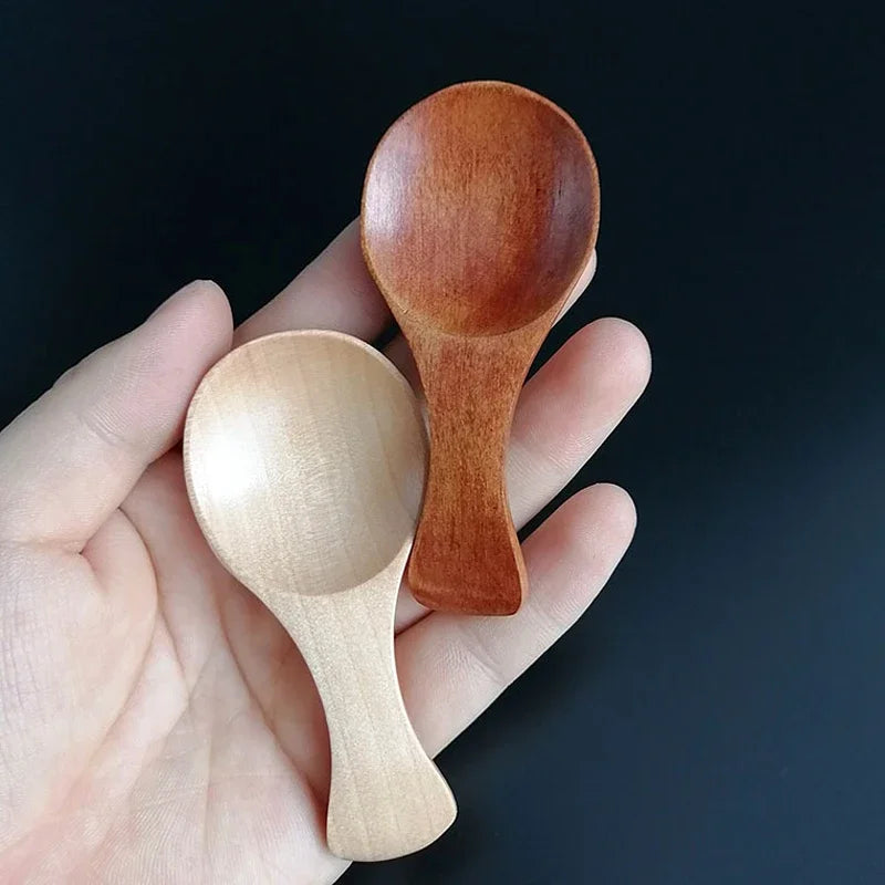 Mini Wooden Spice Spoons (4-Pack)