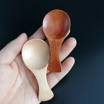 Mini Wooden Spice Spoons (4-Pack)